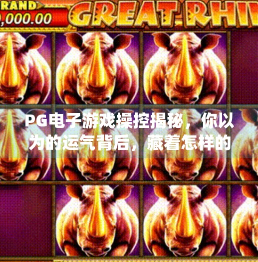 PG电子游戏操控揭秘，你以为的运气背后，藏着怎样的算法陷阱？pg电子游戏操控