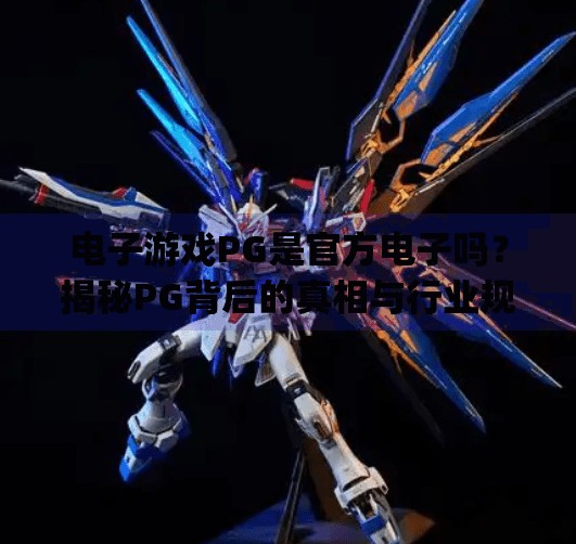 电子游戏PG是官方电子吗？揭秘PG背后的真相与行业规范！电子游戏pg属于官方电子吗